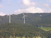 Holzschlgermatte vom Eckhof